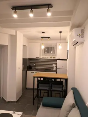 a kitchen with a table and a couch in a room at Bibi Zahumska apartman in Belgrade
