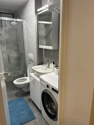 a bathroom with a washing machine and a sink at Bibi Zahumska apartman in Belgrade
