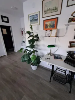 a office with a desk and a potted plant at Apartman Jass in Stari Banovci