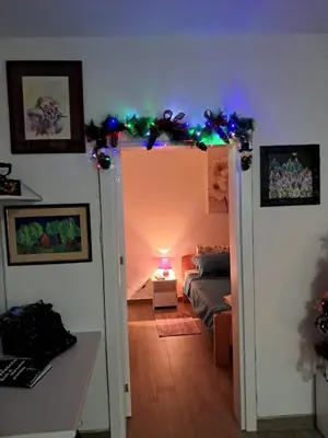 a living room with a door with christmas lights at Apartman Jass in Stari Banovci