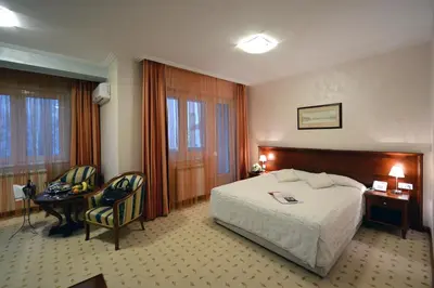 a hotel room with a bed and a table and chairs at Hotel Orasac in Belgrade
