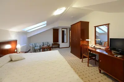 a hotel room with a bed and a desk with a television at Hotel Orasac in Belgrade