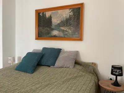 a bedroom with a bed with a picture on the wall at 5min Airport in Surčin