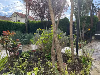 a garden with a tree and many flowers at 5min Airport in Surčin