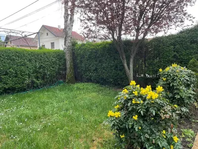 a bush with yellow flowers in a yard at 5min Airport in Surčin