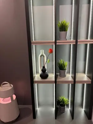 a shelf with a vase and potted plants on it at Moderna Vračar in Belgrade