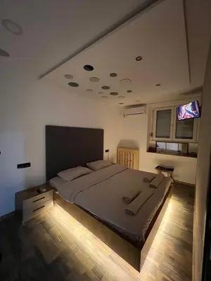 a bedroom with a large bed in a room at Wolf Spa Apartment in Belgrade