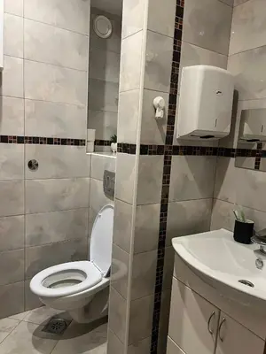 a bathroom with a toilet and a sink at Wolf Spa Apartment in Belgrade