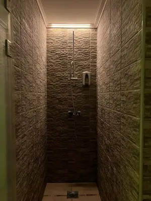 a bathroom with a shower in a brick wall at Wolf Spa Apartment in Belgrade