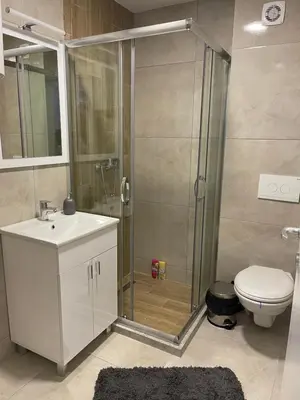 a bathroom with a shower and a sink and a toilet at Cvetanov trg LUX 1 in Belgrade