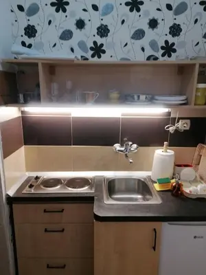 a kitchen with a sink and a counter top at Mala Bella in Zemun