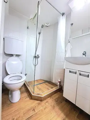a bathroom with a shower and a toilet and a sink at Mini duplex apartman in Dušanovac (historical)