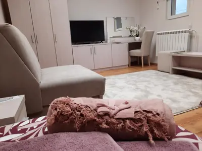 a living room with a couch and a tv at Aleksa 1 in Belgrade