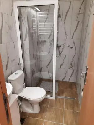 a bathroom with a toilet and a shower at Aleksa 2 in Belgrade