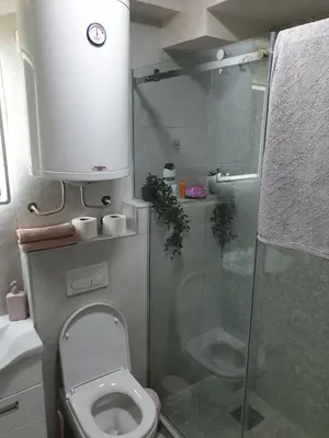 a bathroom with a toilet and a glass shower at Jelena in Vračar (historical)