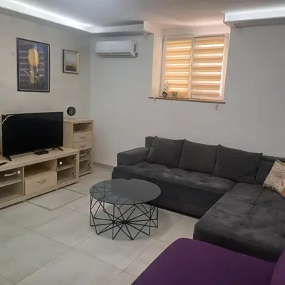 a living room with a couch and a tv at Jelena in Vračar (historical)