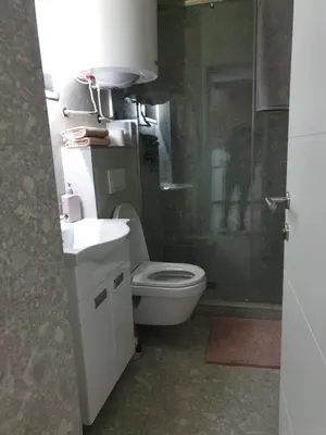 a bathroom with a toilet and a sink and a shower at Jelena in Vračar (historical)