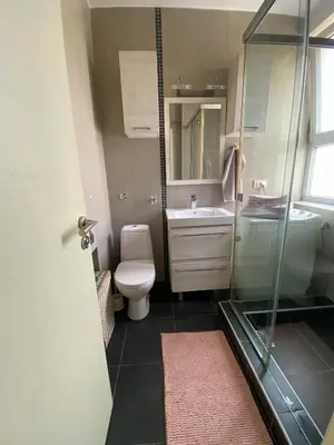 a bathroom with a shower and a toilet and a sink at Home Center Apartment in Belgrade