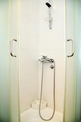 a shower in a bathroom with a toilet at Studio Milan in Vračar (historical)