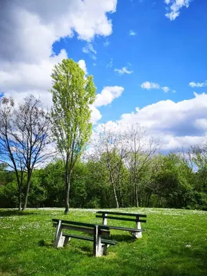 a park bench sitting in a field of grass at Apartman Darvin / Lux in Belgrade