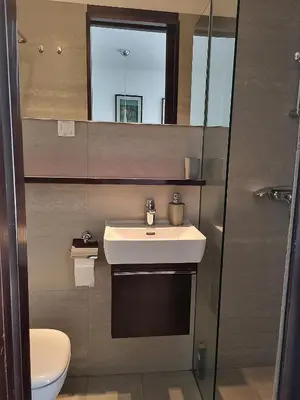 a bathroom with a sink and a toilet and a mirror at Dixy 2 in Belgrade