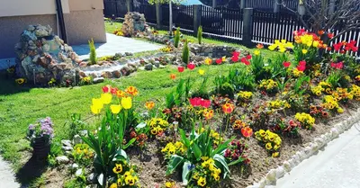 a garden of colorful flowers in a yard at President 034 Deluxe in Arandjelovac