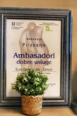a plant in front of a picture in a frame at Euro Garni Hotel in Belgrade