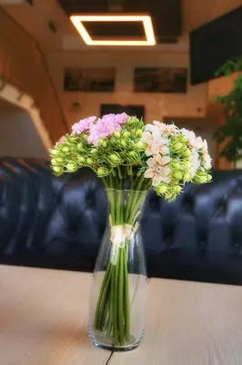 a glass vase with flowers in it on a table at Euro Garni Hotel in Belgrade