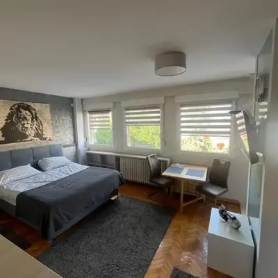LEO Central Apartment