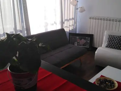a living room with a couch and a potted plant at MatIne Belgrade Zvezdara in Vračar (historical)