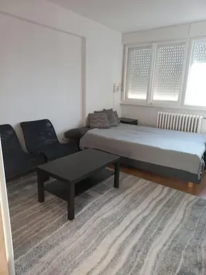 a room with a bed and a couch and a coffee table at Cvijićeva in Belgrade