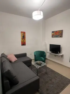 a living room with a couch and a tv at Sany Center Apartment in Belgrade