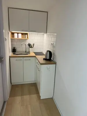 a small kitchen with white cabinets and a sink at Lily in Belgrade