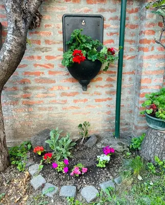 a flower pot on the side of a wall with flowers at Lily in Belgrade