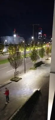 a person throwing a frisbee in a park at night at Belgrade Waterfront Nabucco in Belgrade
