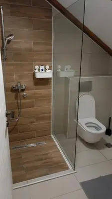 a bathroom with a toilet and a glass shower stall at Fruškogorski Đeram in Grgeteg