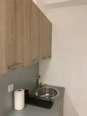 a bathroom with a sink and a counter with a toilet paper at Nora in Bele Vode