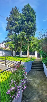 a garden with stairs and flowers and a fence at Magenta Garden in Belgrade