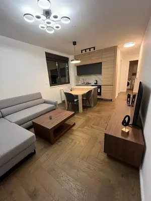 a living room with a couch and a table at Apartment Belgrade GV (free garage) in Vračar (historical)