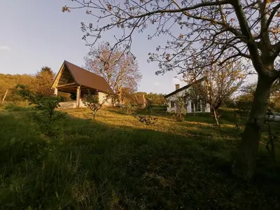 a house in the middle of a grassy field at Vikendica Smokvica in Sremski Karlovci
